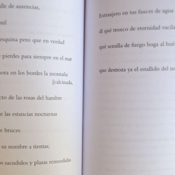 Los danzantes. Espacios estatutarios - Imagen 3