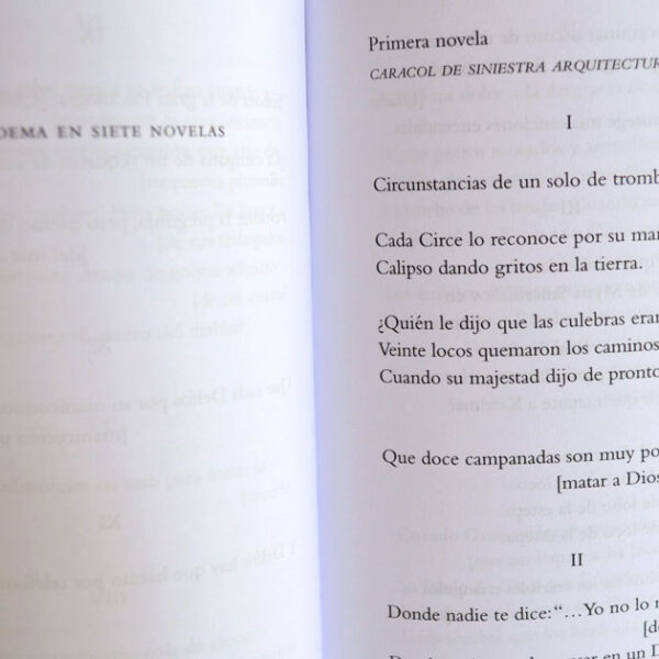 Patología del ser - Imagen 2