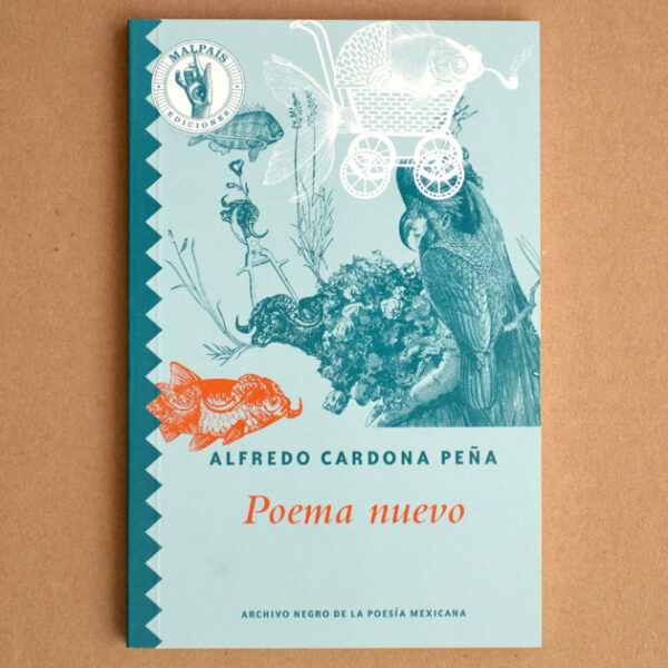 Poema nuevo