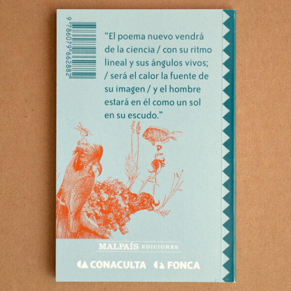 Poema nuevo - Imagen 4