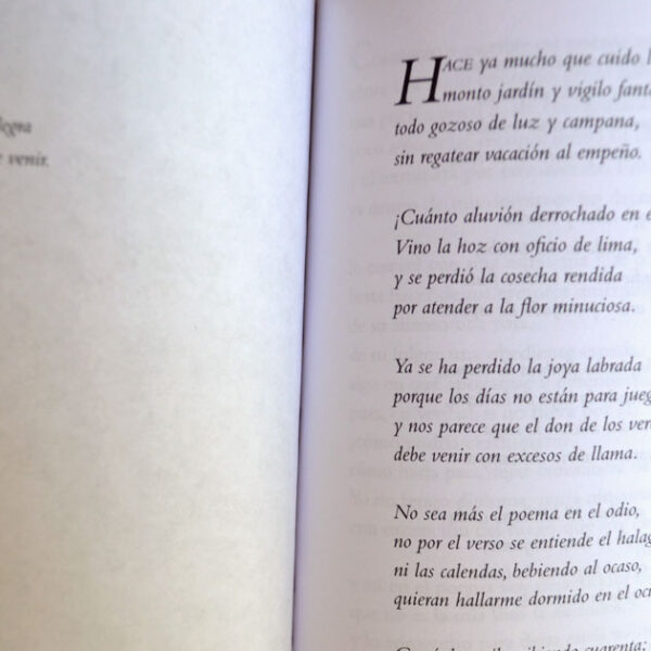 Poema nuevo - Imagen 3