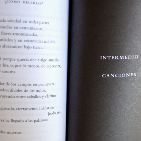 El Retorno y otros poemas - Imagen 2