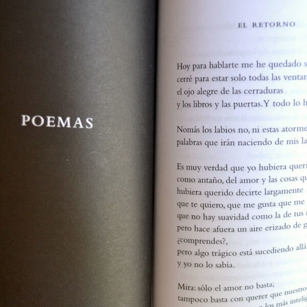 El Retorno y otros poemas - Imagen 3