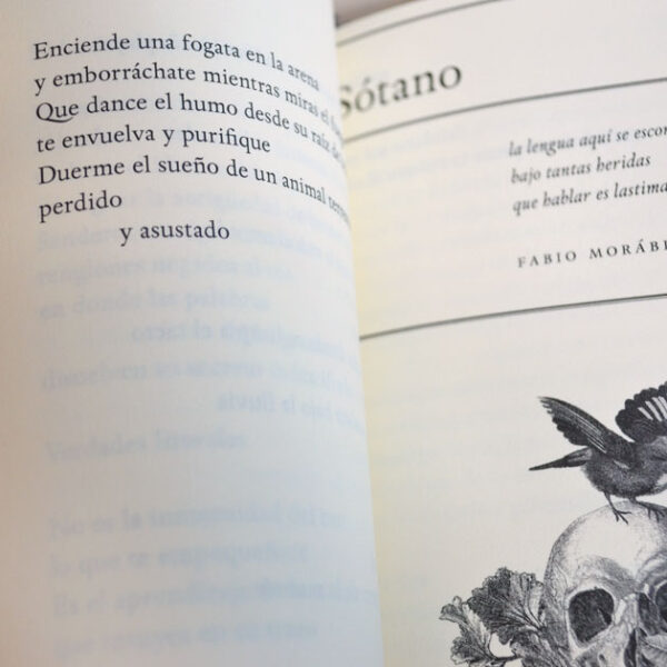 Refractario - Imagen 3