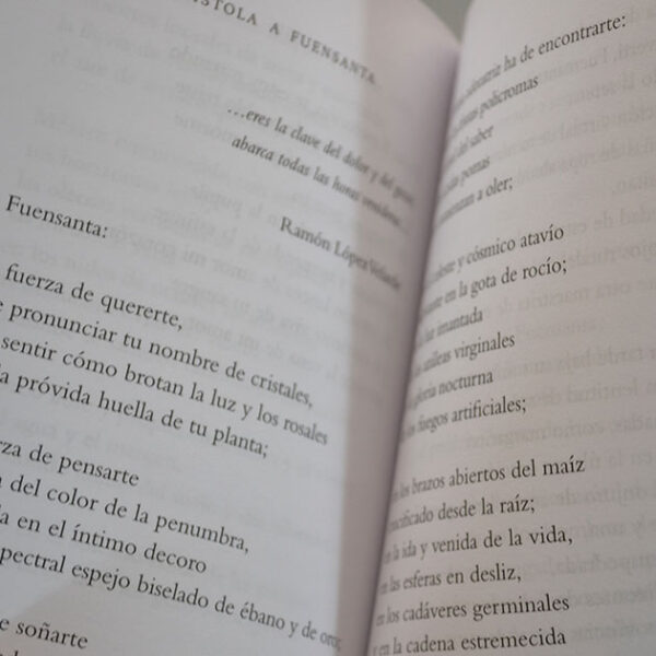 Espiral en retorno - Imagen 2
