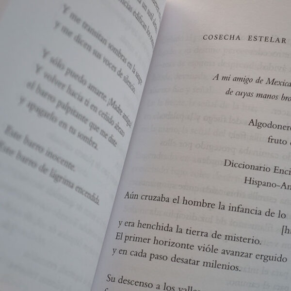 Espiral en retorno - Imagen 4