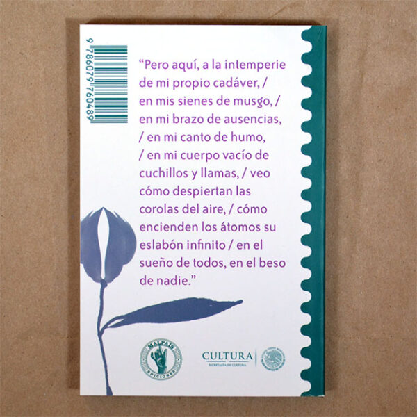 Espiral en retorno - Imagen 3