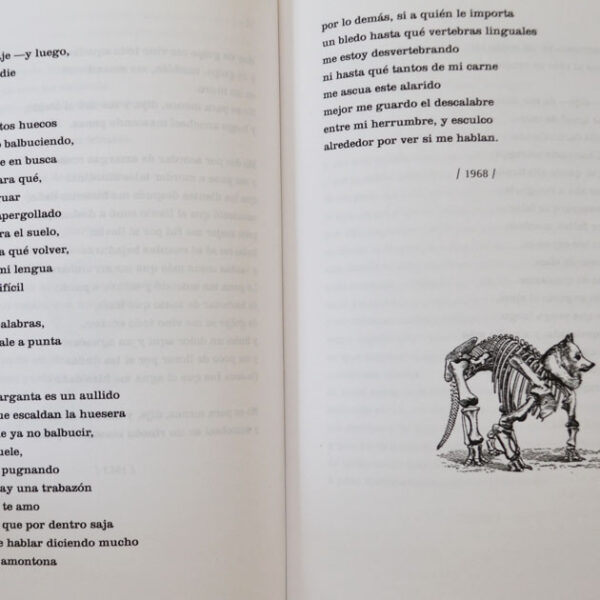 Max Rojas, Obra primera (1958-1986) - Imagen 3