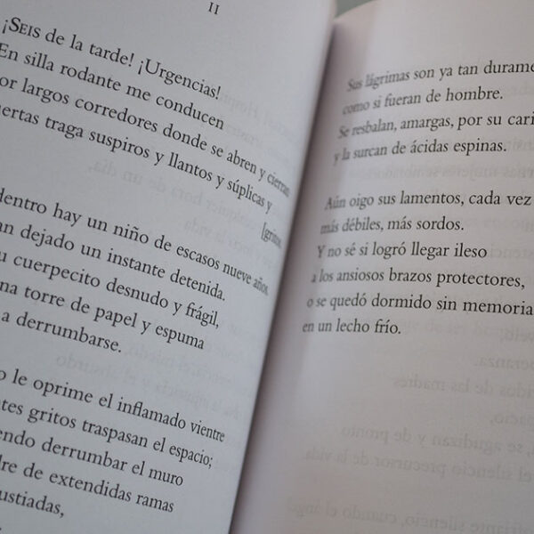 Memoria de hospital y Presagio - Imagen 2