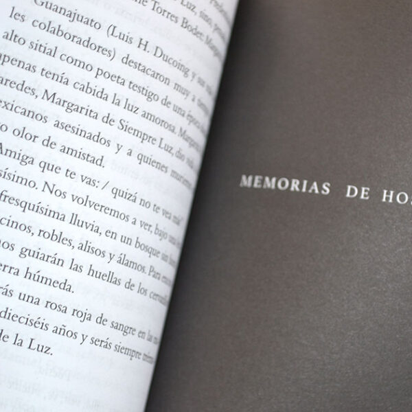 Memoria de hospital y Presagio - Imagen 3