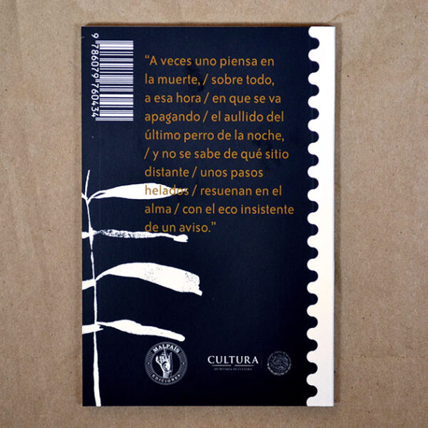 Memoria de hospital y Presagio - Imagen 4