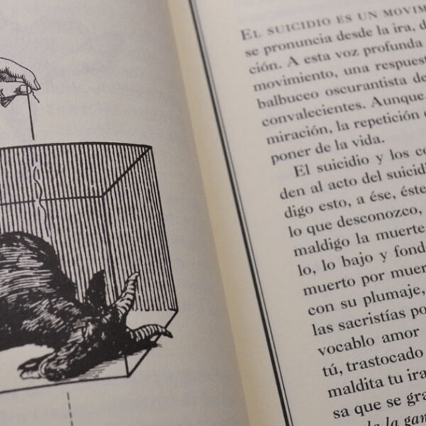 Caída del búfalo sin nombre. Ensayos sobre el suicidio - Imagen 3