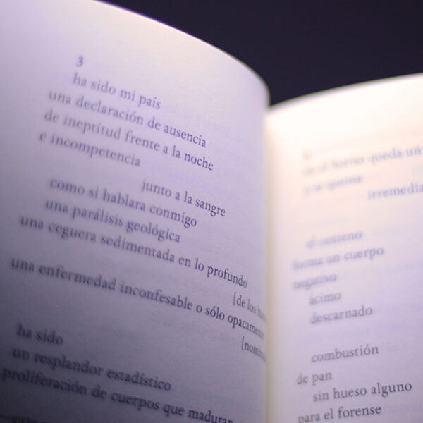 Ensayos y otras conversaciones - Imagen 4