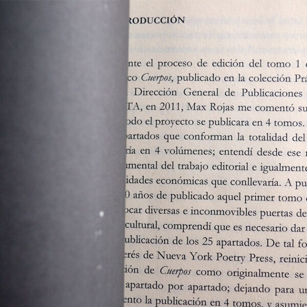 Los testimonios del ahogado (Cuerpos siete) - Imagen 2
