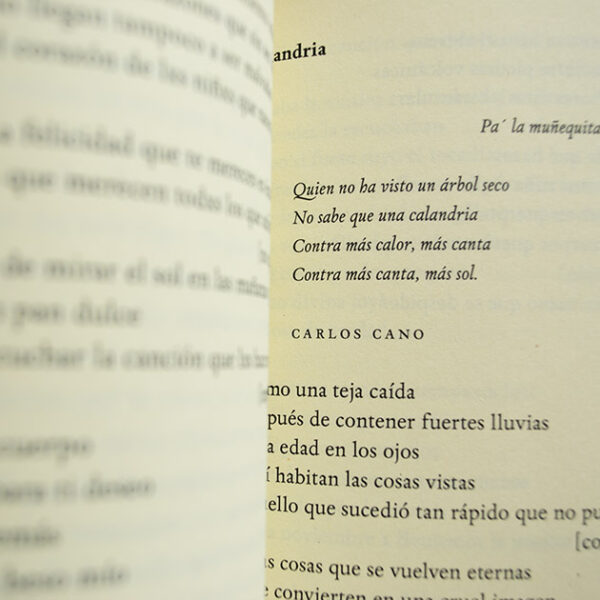 Las Cuerpas - Imagen 3